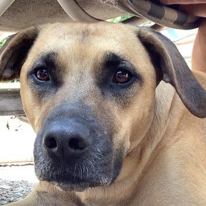 Meet your Posher, Steven